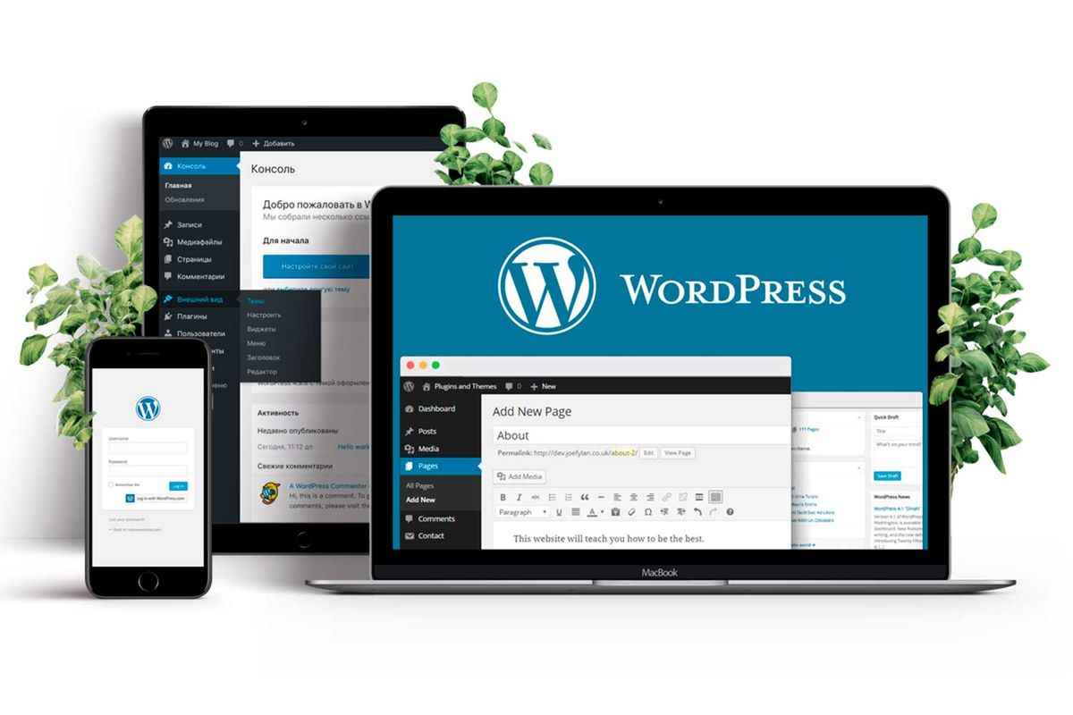 WordPress development concept showing website design, customization, and performance optimization