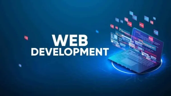 Professional web development services for modern business websites